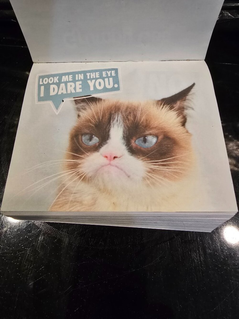Calendar Grumpy Cat Year-In-A-Box 2017 Missing Cover 5" x 4.25"